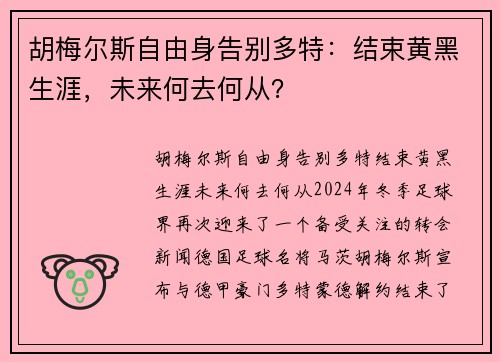 胡梅尔斯自由身告别多特：结束黄黑生涯，未来何去何从？