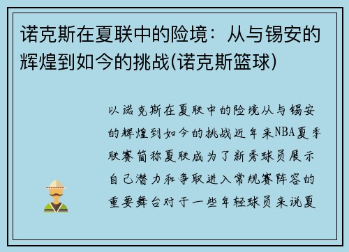 诺克斯在夏联中的险境：从与锡安的辉煌到如今的挑战(诺克斯篮球)
