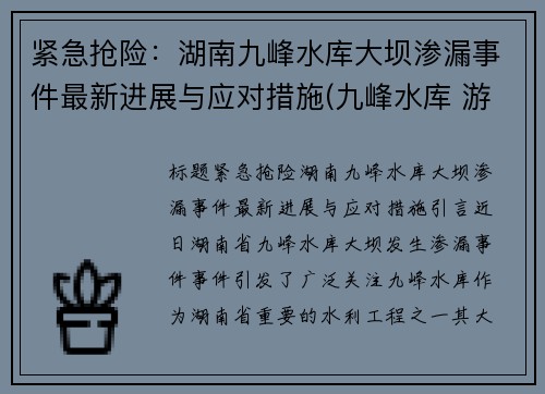 紧急抢险：湖南九峰水库大坝渗漏事件最新进展与应对措施(九峰水库 游泳)