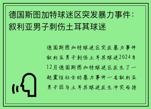 德国斯图加特球迷区突发暴力事件：叙利亚男子刺伤土耳其球迷