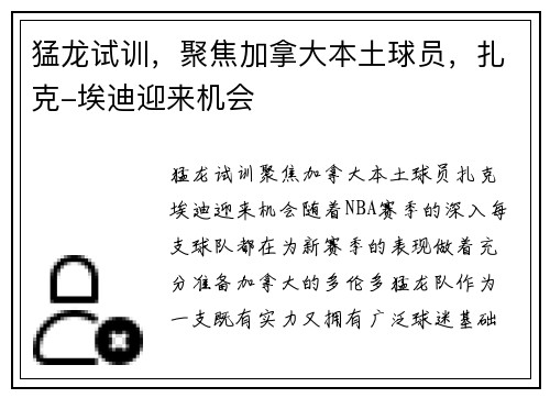猛龙试训，聚焦加拿大本土球员，扎克-埃迪迎来机会